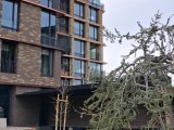 2x crop zoom photos - f/1.8, ISO 20, 1/468s - Samsung Galaxy A26 review