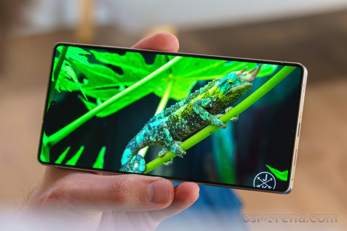 Layar Dinamic Amoled