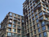 Daylight samples, main camera (2x zoom) - f/1.8, ISO 25, 1/896s - Samsung Galaxy Z Flip7 review