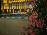 Low-light samples, main camera (1x) - f/1.8, ISO 1600, 1/25s - Samsung Galaxy Z Flip7 review