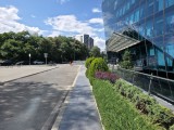 50MP main camera photos - f/1.7, ISO 50, 1/2766s - Samsung Galaxy Z Fold7 review