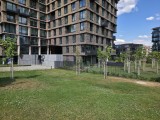 50MP main camera photos - f/1.7, ISO 50, 1/2592s - Samsung Galaxy Z Fold7 review