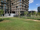 200MP main camera photos - f/1.7, ISO 12, 1/718s - Samsung Galaxy Z Fold7 review
