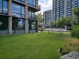 200MP main camera photos - f/1.7, ISO 50, 1/3099s - Samsung Galaxy Z Fold7 review