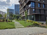 Main camera daylight photos - f/1.7, ISO 80, 1/7333s - Samsung Galaxy Z Fold7 review