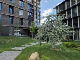 Main camera daylight photos - f/1.7, ISO 80, 1/3026s - Samsung Galaxy Z Fold7 review