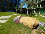 Daylight samples, ultrawide camera (0.7x) - f/2.0, ISO 50, 1/1250s - Sony Xperia 1 VII review