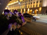Low-light samples, ultrawide camera (0.7x) - f/2.0, ISO 1600, 1/10s - Sony Xperia 1 VII review