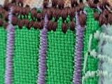 Telephoto macro mode samples, 120mm - f/2.8, ISO 640, 1/30s - Sony Xperia 1 VII review