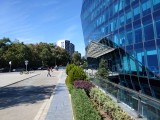 Sony Xperia 10 VII: 12MP main camera samples - f/1.9, ISO 50, 1/1600s - Sony Xperia 10 VII review