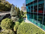 Sony Xperia 10 VII: 12MP ultrawide camera samples - f/2.4, ISO 50, 1/400s - Sony Xperia 10 VII review