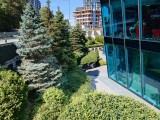 Sony Xperia 10 VII: 12MP main camera samples - f/1.9, ISO 50, 1/640s - Sony Xperia 10 VII review