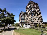 Sony Xperia 10 VII: 12MP ultrawide camera samples - f/2.4, ISO 50, 1/800s - Sony Xperia 10 VII review