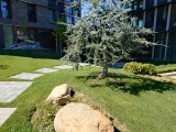 Sony Xperia 10 VII: 12MP main camera samples - f/1.9, ISO 50, 1/1000s - Sony Xperia 10 VII review