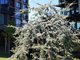 Sony Xperia 10 VII: 12MP main camera 2x zoom samples - f/1.9, ISO 50, 1/500s - Sony Xperia 10 VII review
