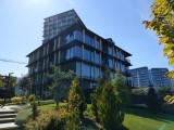 Sony Xperia 10 VII: 12MP main camera samples - f/1.9, ISO 50, 1/1600s - Sony Xperia 10 VII review