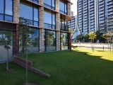 Sony Xperia 10 VII: 12MP main camera samples - f/1.9, ISO 50, 1/400s - Sony Xperia 10 VII review