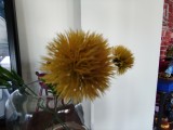 Sony Xperia 10 VII: close-up samples - f/2.4, ISO 100, 1/30s - Sony Xperia 10 VII review