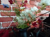 Sony Xperia 10 VII: close-up samples - f/2.4, ISO 320, 1/30s - Sony Xperia 10 VII review