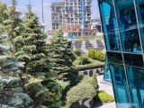 2x crop zoom photos - f/1.8, ISO 51, 1/1271s - Tecno Camon 40 Premier review