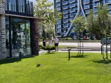 2x crop zoom photos - f/1.8, ISO 51, 1/2360s - Tecno Camon 40 Premier review