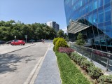 Main camera photos - f/1.8, ISO 52, 1/1746s - Tecno Camon 40 Premier review