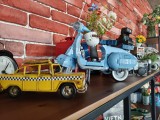 Main camera photos - f/1.8, ISO 287, 1/100s - Tecno Camon 40 Premier review