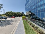 Ultrawide photos - f/2.0, ISO 50, 1/368s - Tecno Camon 40 Premier review