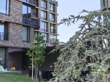 2x crop zoom photos - f/1.8, ISO 50, 1/486s - Tecno Camon 40 Pro review