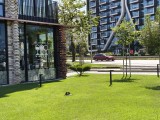 2x crop zoom photos - f/1.8, ISO 50, 1/1792s - Tecno Camon 40 Pro review