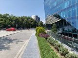 Main camera photos - f/1.8, ISO 51, 1/1517s - Tecno Camon 40 Pro review