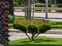 Long telephoto: Huawei Pura 80 Ultra (240mm) - f/3.6, ISO 400, 1/4032s - Ultra camera comparison
