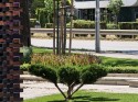 Long telephoto: Oppo Find X8 Ultra (224mm) - f/3.1, ISO 50, 1/383s - Ultra camera comparison