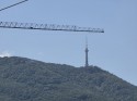 Long telephoto: Samsung Galaxy S25 Ultra (230mm) - f/3.4, ISO 32, 1/1245s - Ultra camera comparison