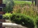 Extreme telephoto: Samsung Galaxy S25 Ultra (690mm) - f/3.4, ISO 32, 1/284s - Ultra camera comparison