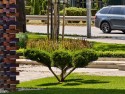 Long telephoto: vivo X200 Ultra (230mm) - f/2.3, ISO 50, 1/300s - Ultra camera comparison