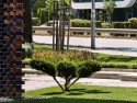Long telephoto: Xiaomi 15 Ultra(200mm) - f/2.6, ISO 64, 1/100s - Ultra camera comparison