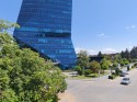 Daylight video, ultrawide (0.6x): Oppo Find X8 Ultra (15mm) - Ultra camera comparison