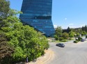 Daylight video, ultrawide (0.6x): Samsung S25 Ultra (13mm) - Ultra camera comparison