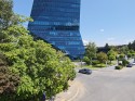 Daylight video, ultrawide (0.6x): Xiaomi 15 Ultra (14mm) - Ultra camera comparison