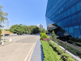 vivo X Fold5: 12.5MP ultrawide camera samples - f/2.0, ISO 50, 1/424s - vivo X Fold5 review