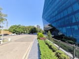 vivo X Fold5: 50MP ultrawide camera samples - f/2.0, ISO 50, 1/416s - vivo X Fold5 review