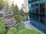vivo X Fold5: 12.5MP main camera samples - f/1.6, ISO 71, 1/270s - vivo X Fold5 review