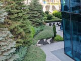 vivo X Fold5: 12.5MP main camera 2x zoom samples - f/1.6, ISO 71, 1/237s - vivo X Fold5 review