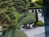 vivo X Fold5: 12.5MP telephoto camera 3x samples - f/2.5, ISO 85, 1/100s - vivo X Fold5 review