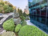 vivo X Fold5: 50MP ultrawide camera samples - f/2.0, ISO 187, 1/100s - vivo X Fold5 review