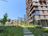vivo X Fold5: 50MP ultrawide camera samples - f/2.0, ISO 50, 1/377s - vivo X Fold5 review