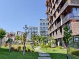 vivo X Fold5: 50MP main camera samples - f/1.6, ISO 71, 1/1748s - vivo X Fold5 review