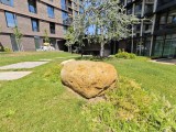 vivo X Fold5: 50MP ultrawide camera samples - f/2.0, ISO 50, 1/514s - vivo X Fold5 review