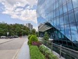 Daylight samples, main camera (1x) - f/1.9, ISO 71, 1/325s - vivo X200 FE review